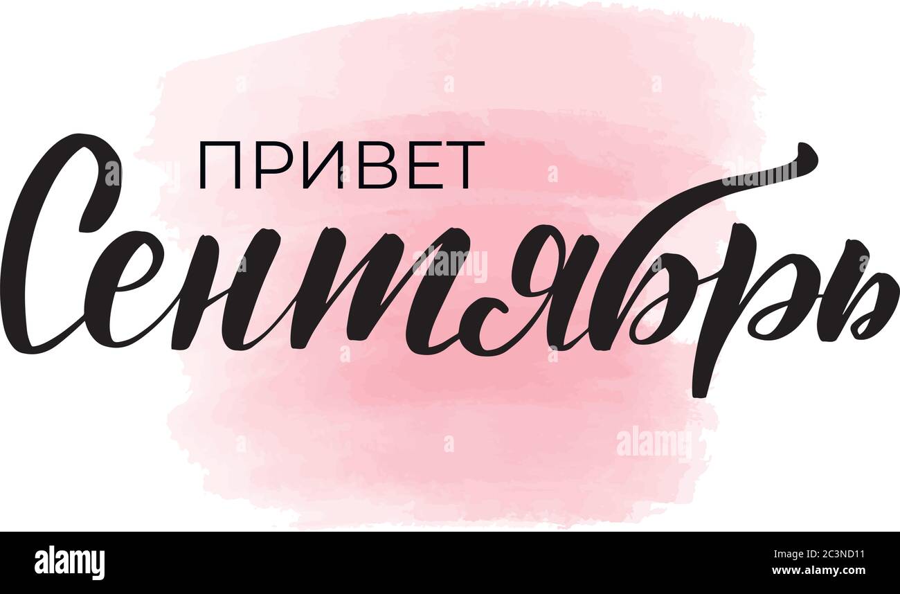 Web Stock Vector