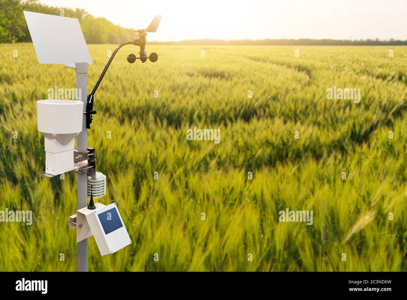 Weather station in a wheat field. Precision farming equipment Stock Photo