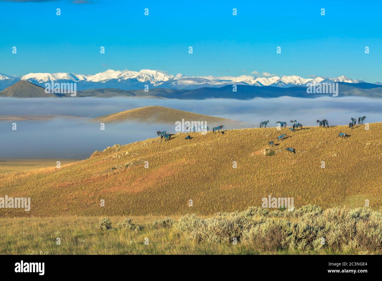 horse sculptures on a hillside above valley fog and the tobacco root