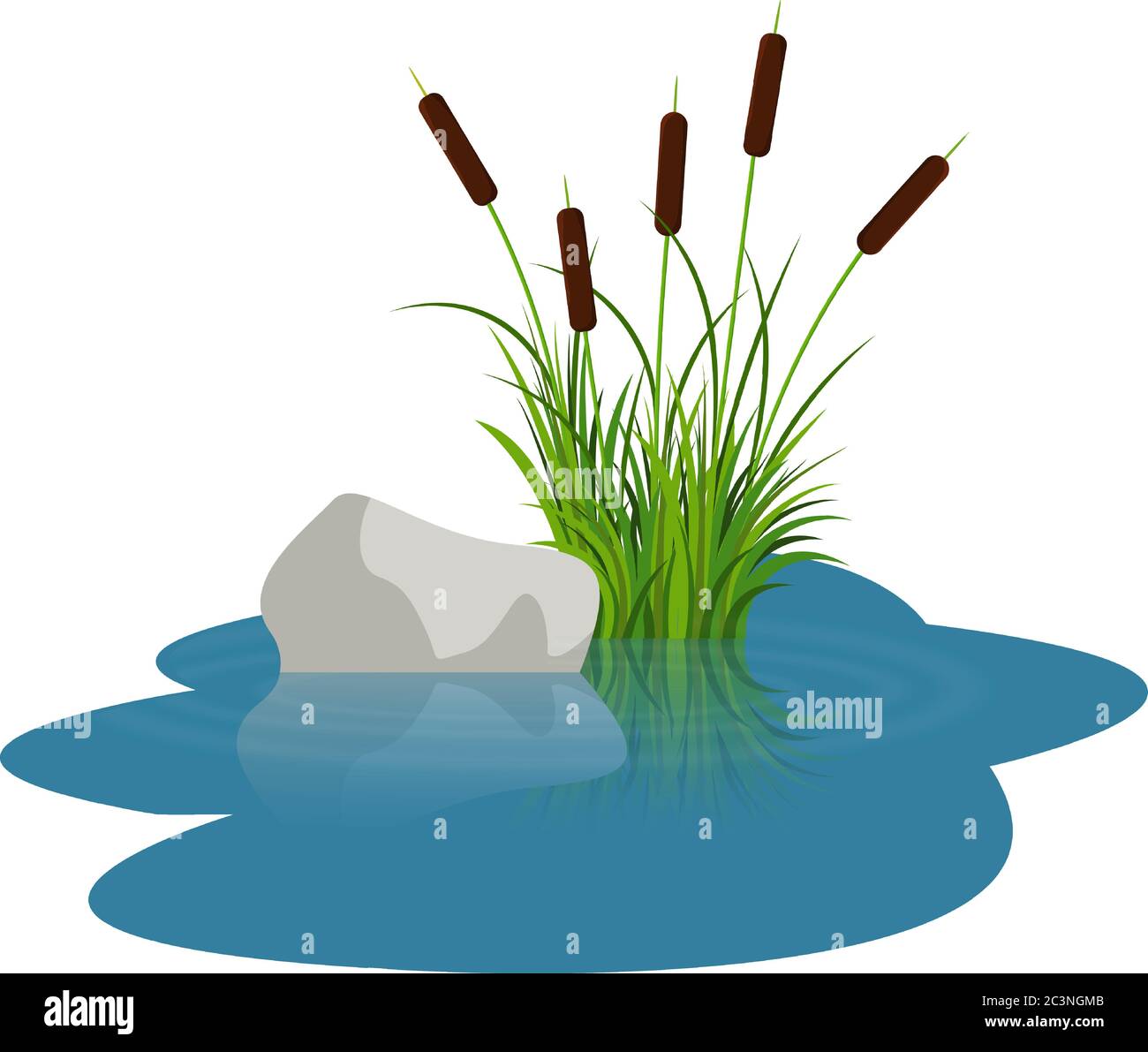 Bush reeds with stone on the water. Reeds stern and grey stone reflected in the lake water with water rounds. Bush reeds and stone vector on the water Stock Vector