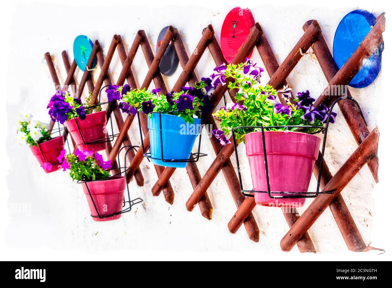 Floral wall decoration in rustic style, Ideas for gardening design Stock Photo