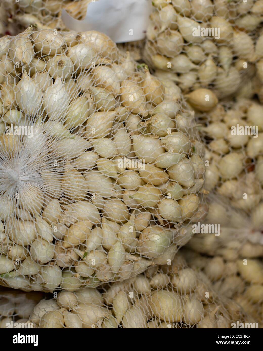 Small flower bulbs for growing in the garden. Seeds in the net, onion  sevoc, the process of the flower, light white bulb root. Gardening  cultivation f Stock Photo - Alamy