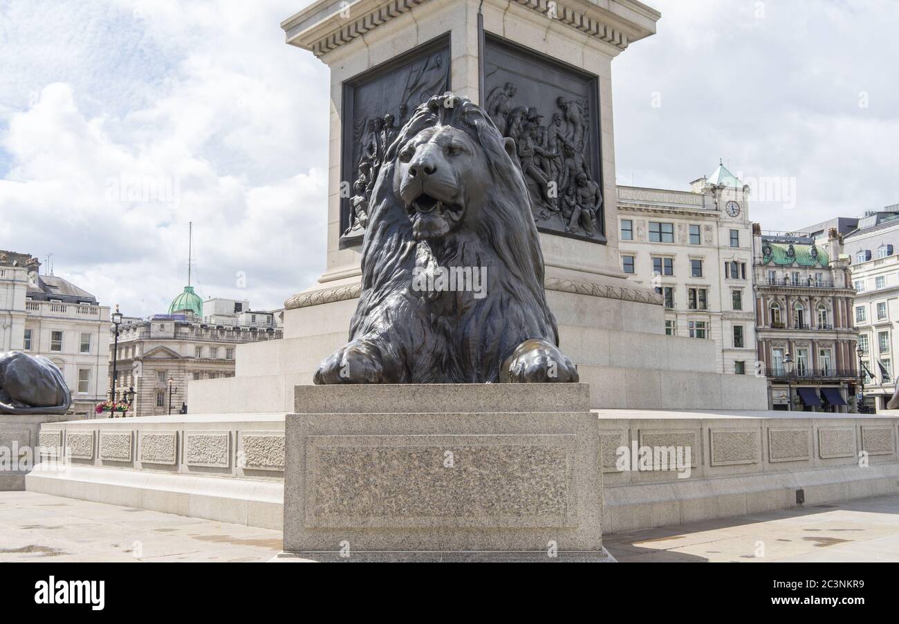 One of the Lion statues of Trafalgar Square on a sunny day. London Stock Photo