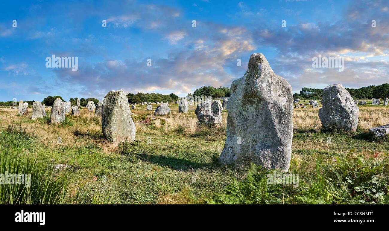 View of Carnac neolthic standing stones monaliths, Alignements du Kermario, a pre-Celtic site of standing stomes used from 4500 to 2000 BC,  Carnac is Stock Photo