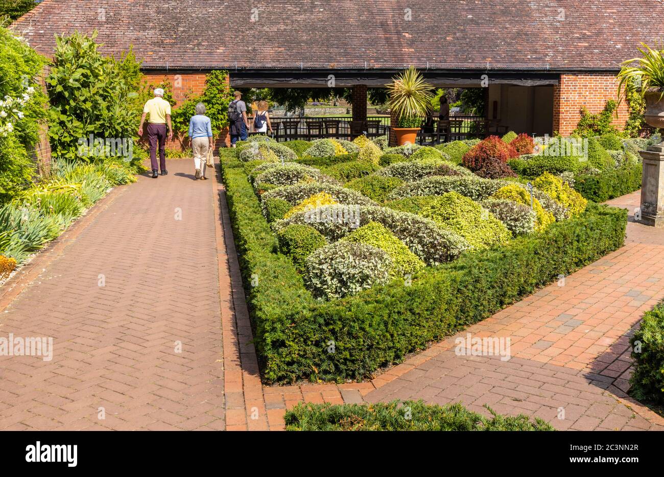 The knot garden with neat clipped topiary bushes in the Walled Gardens