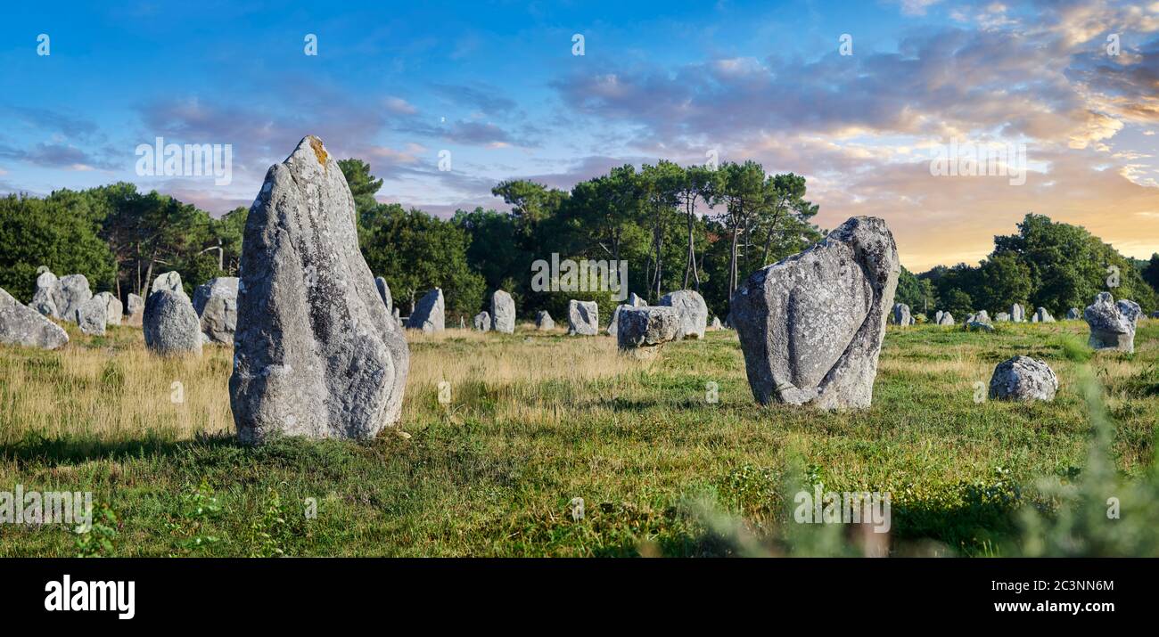 View of Carnac neolthic standing stones monaliths, Alignements du Menec, a pre-Celtic site of standing stomes used from 4500 to 2000 BC,  Carnac is fa Stock Photo