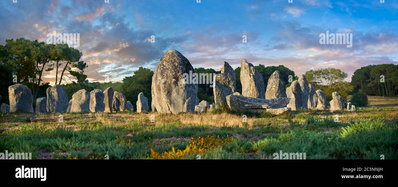 View of Carnac neolthic standing stones monaliths, Alignements du Kermario, a pre-Celtic site of standing stones ,  4500 to 2000 BC, Stock Photo