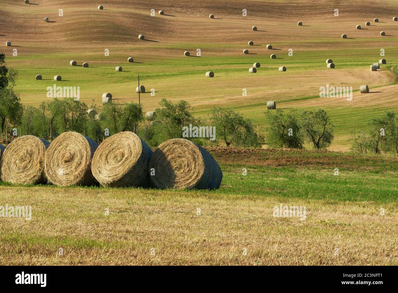Beautiful countryside landscape near Siena in Tuscany, Italy. Round straw bales hay balls in harvested fields and blue sky. Stock Photo