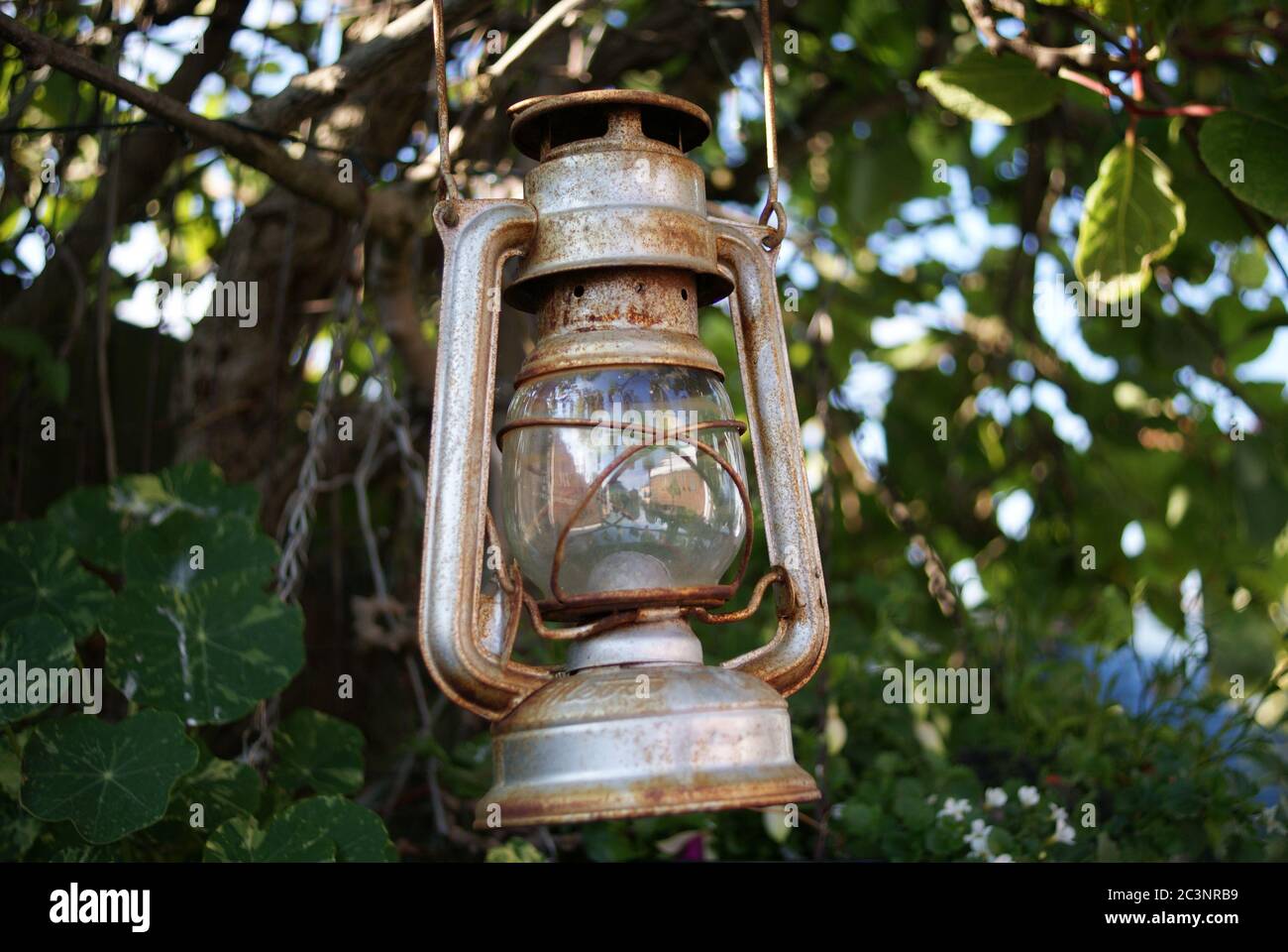 Vintage paraffin lamp Meva 863 hanging in tree Stock Photo - Alamy