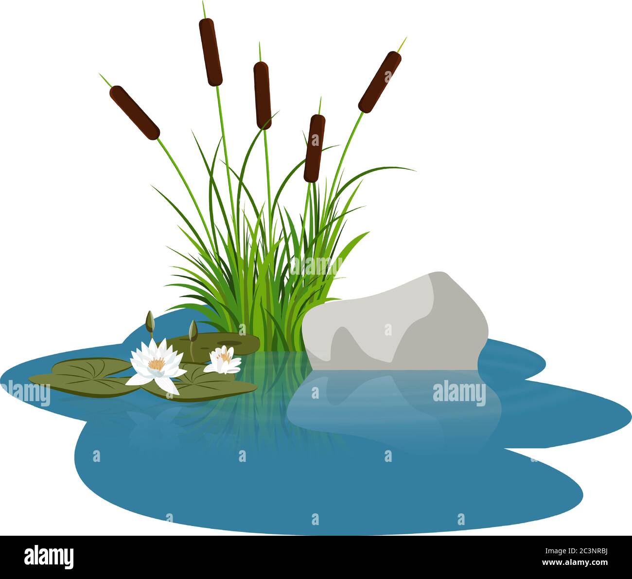 Bush reeds with lotus water lily leafes near stone on the water. Reeds stern, water lily and grey stone reflected in the lake water with water rounds. Stock Vector