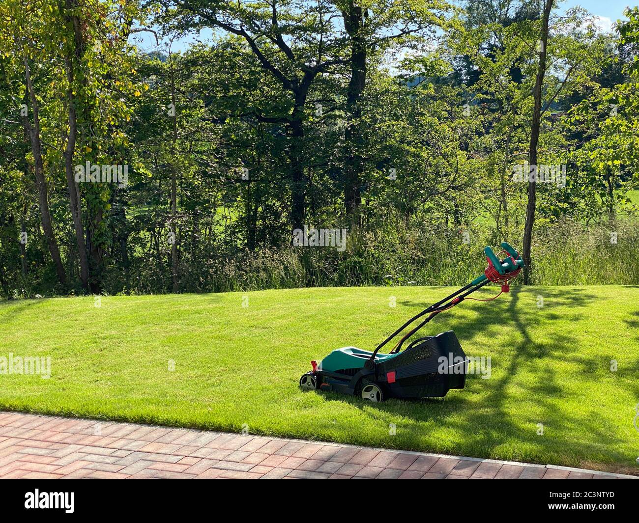 electric lawn rake