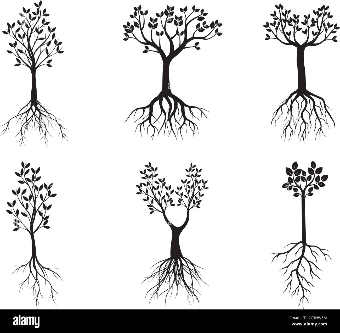 Set back Tres with Roots. Vector outline Illustration. EPS file. Stock Vector