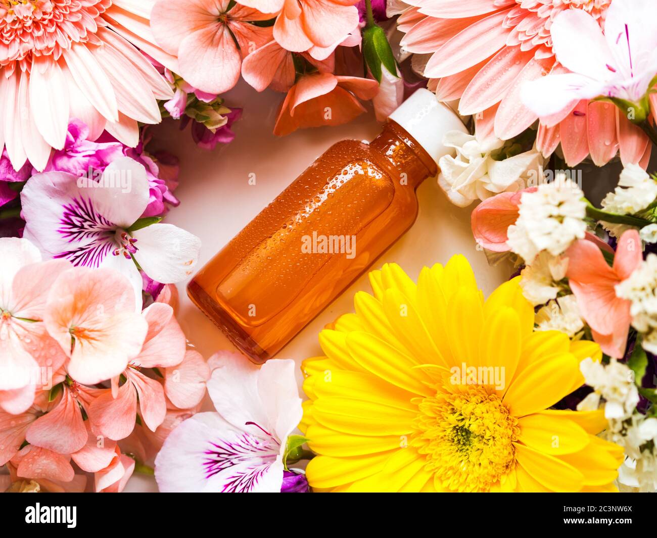 Botanical serum hi-res stock photography and images - Alamy