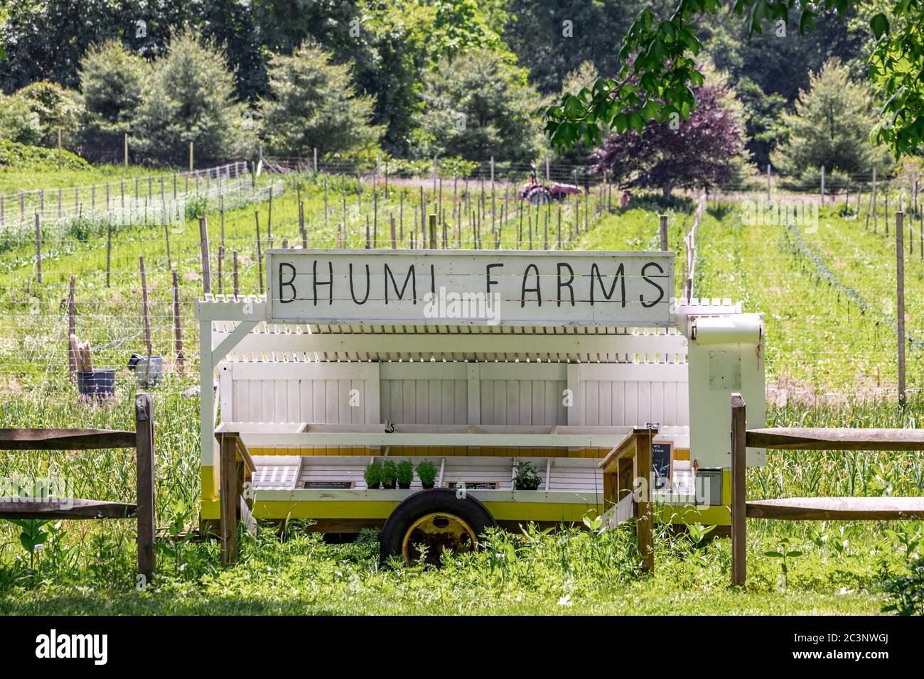 Bhumi Farms, farm stand in East Hampton, NY Stock Photo
