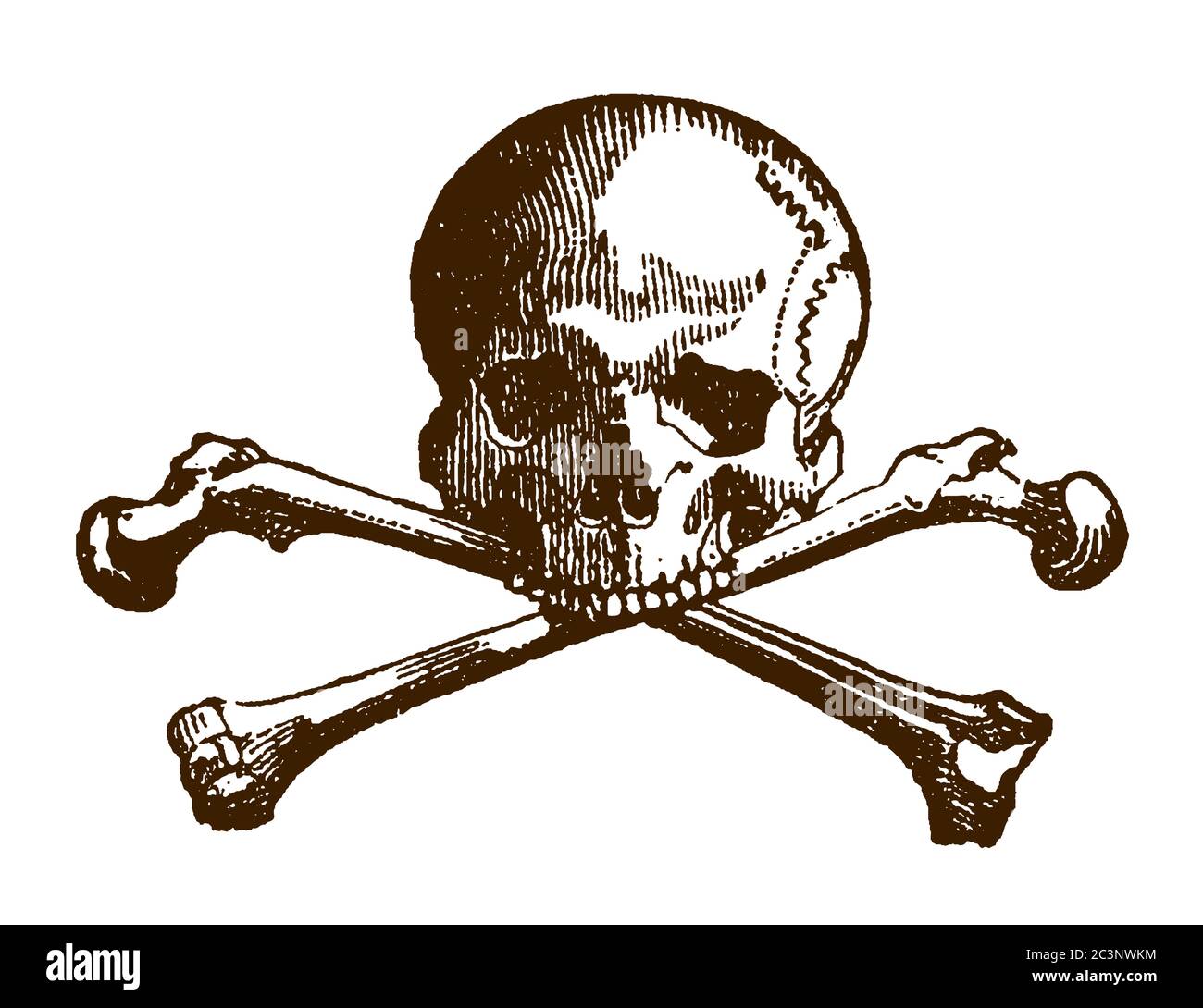 Skull Crossed Bones Embroidery