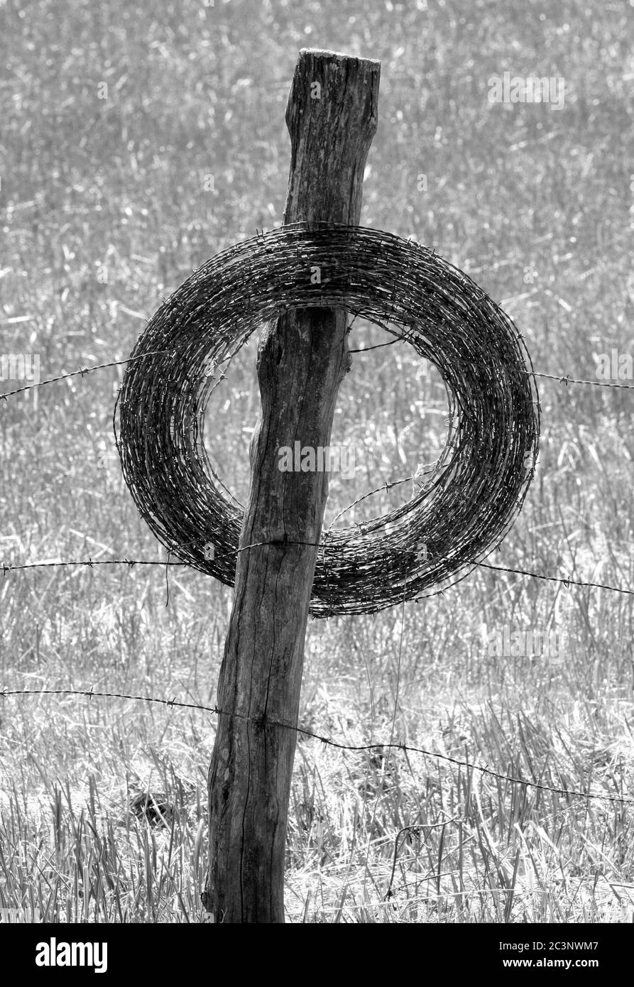 Wire farm fencing Black and White Stock Photos & Images - Alamy
