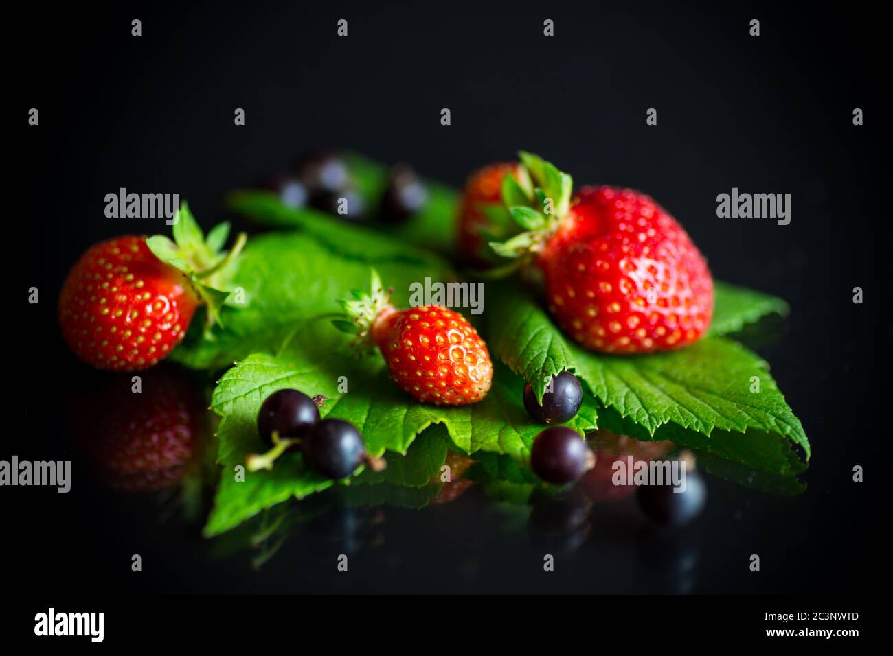 ripe red strawberries and berries of black currant Stock Photo