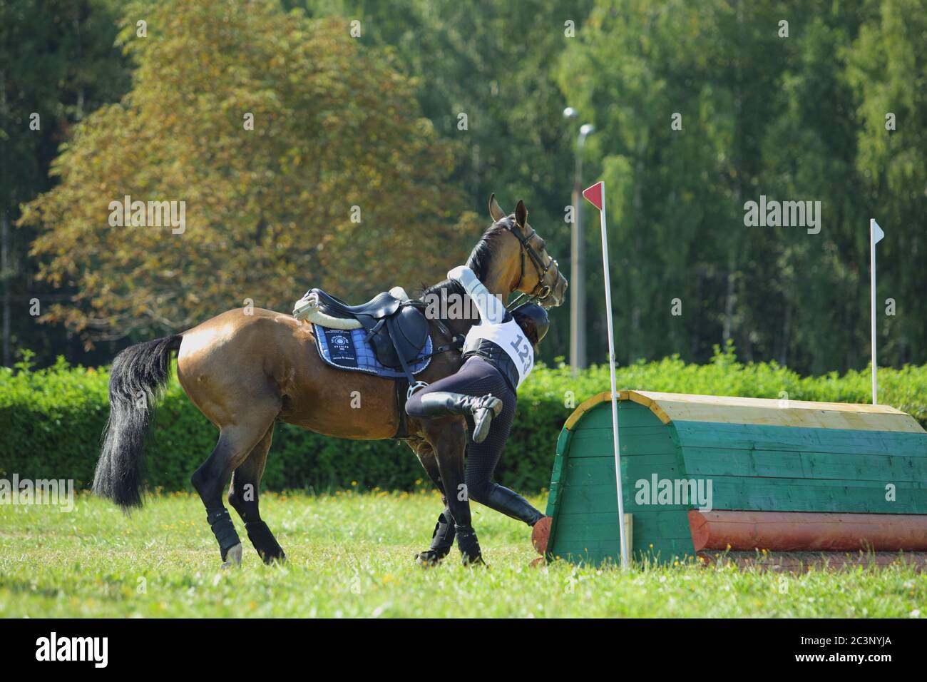 female rider falls from horse rearing up at belton house horse trialsim Moscow Stock Photo