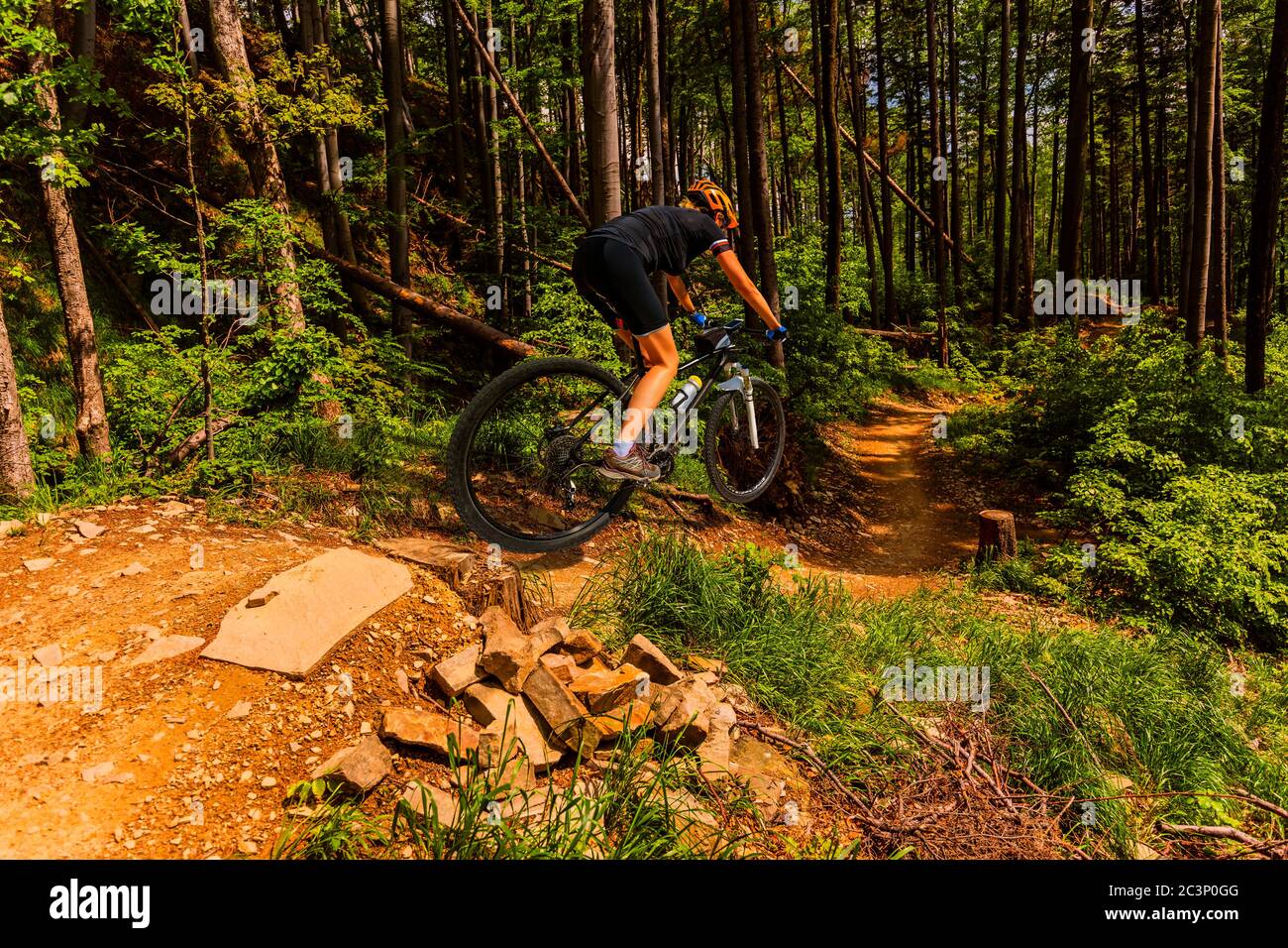 mtb flow trail
