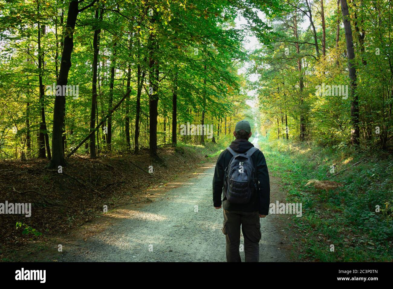 A man with a backpack walking down a forest road, view in sunny day Stock Photo