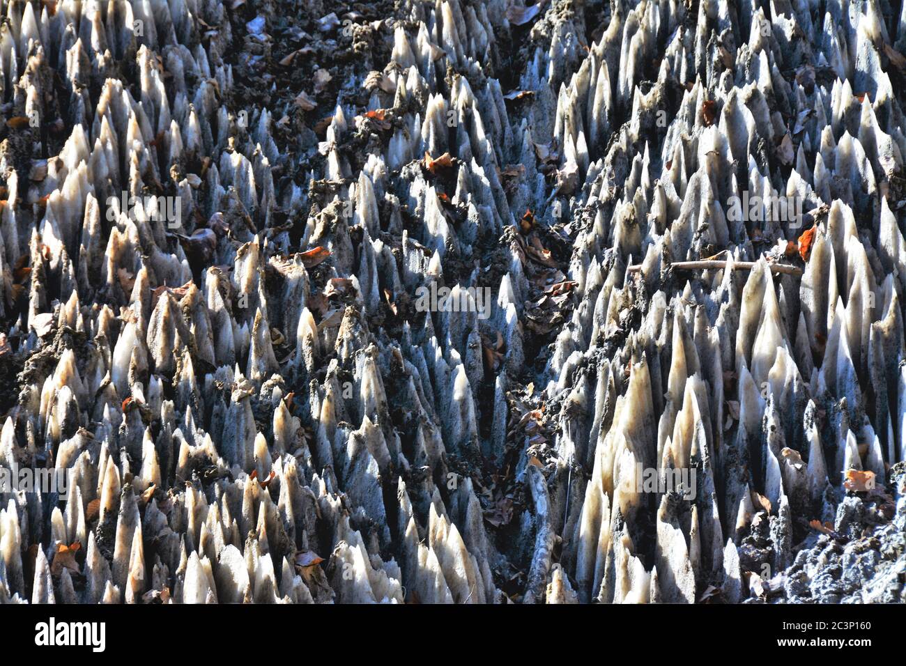 Closeup shot of salt rock that has been eroded by rain Stock Photo - Alamy