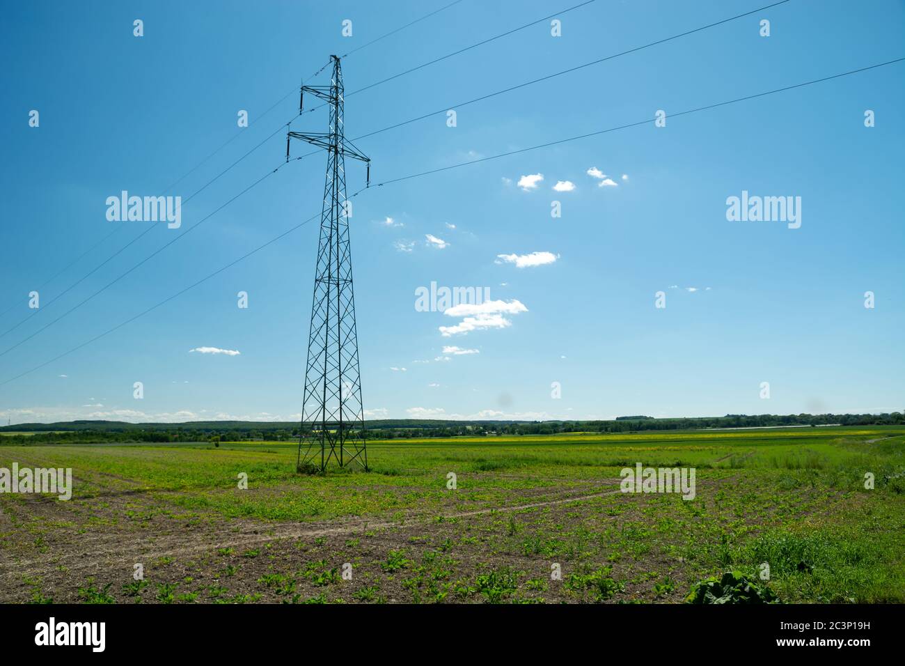 Electric pole in the field and blue sky, summer view Stock Photo - Alamy