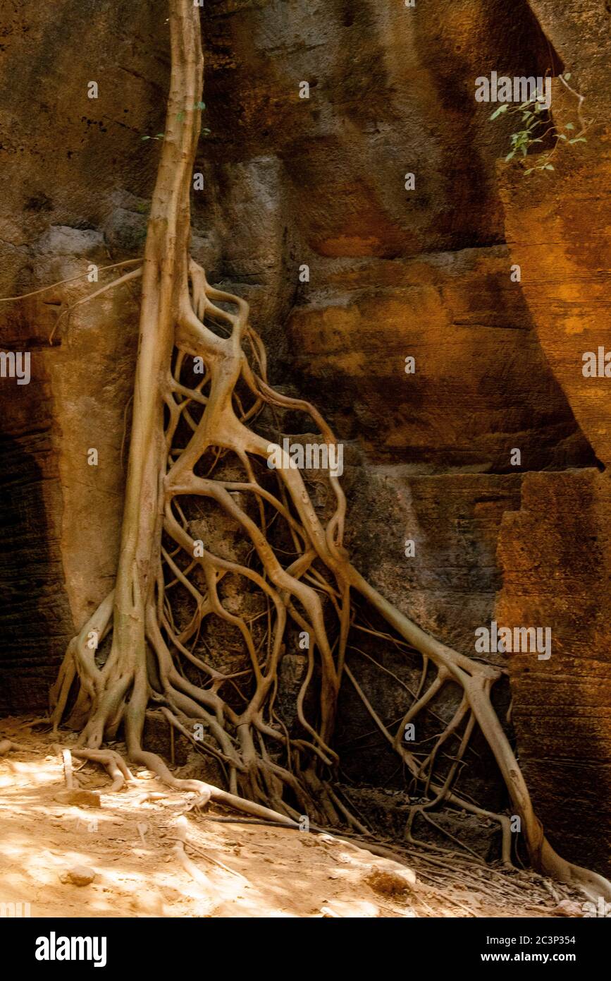 Wonder how Nature and humans are similar at a fundamental level! If one