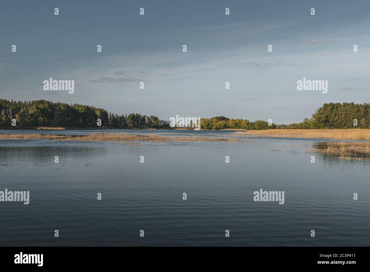 Beautiful shot of a lake under the blue sky Stock Photo - Alamy