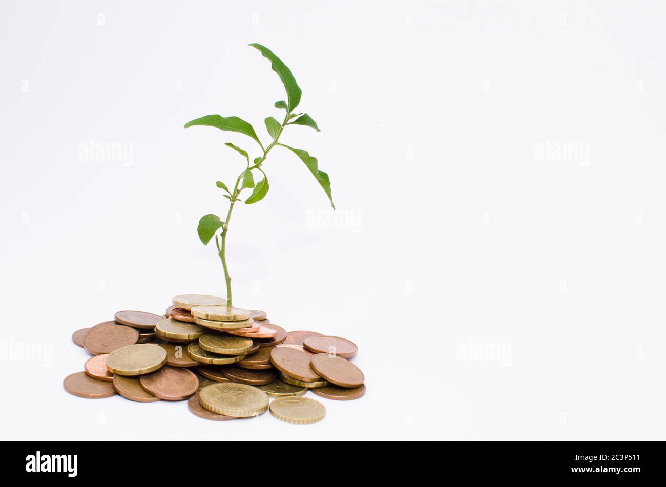nascent plant of a mountain of coins Stock Photo