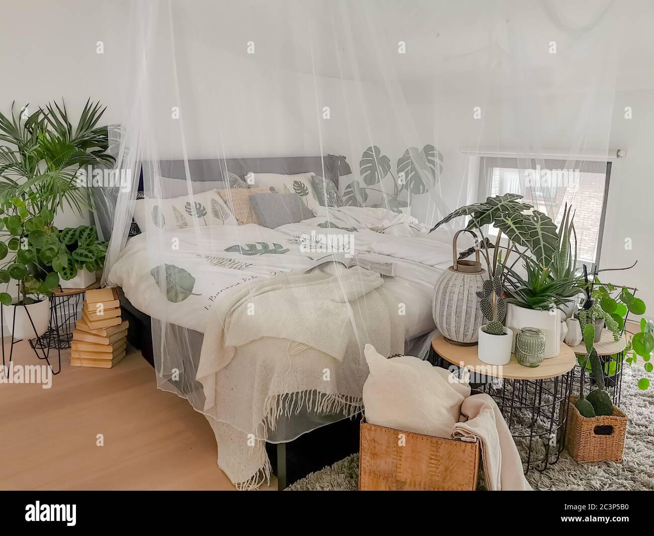 Bright white bedroom filled with numerous houseplants and flooded in natural light Stock Photo