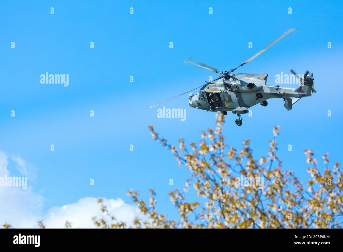 Wildcat helicopter from the British Army, 6 Regiment, Army Air Corps Stock Photo