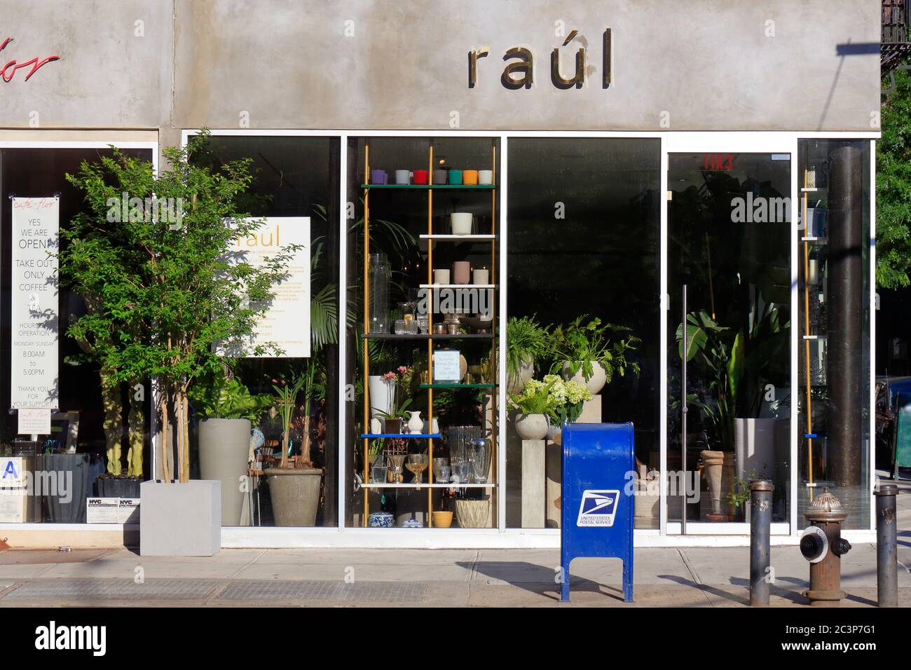 Raúl, 216 8th Ave, New York, NYC storefront photo of a flower shop and home decorations shop in the Chelsea neighborhood of Manhattan. Stock Photo