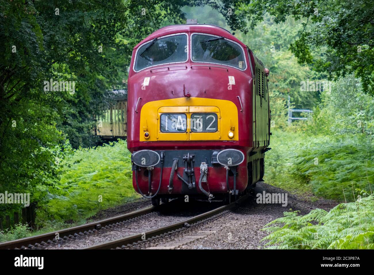 Warship classs diesel Greyhound heads through Trimpley on the Severn Valley Railway. Stock Photo