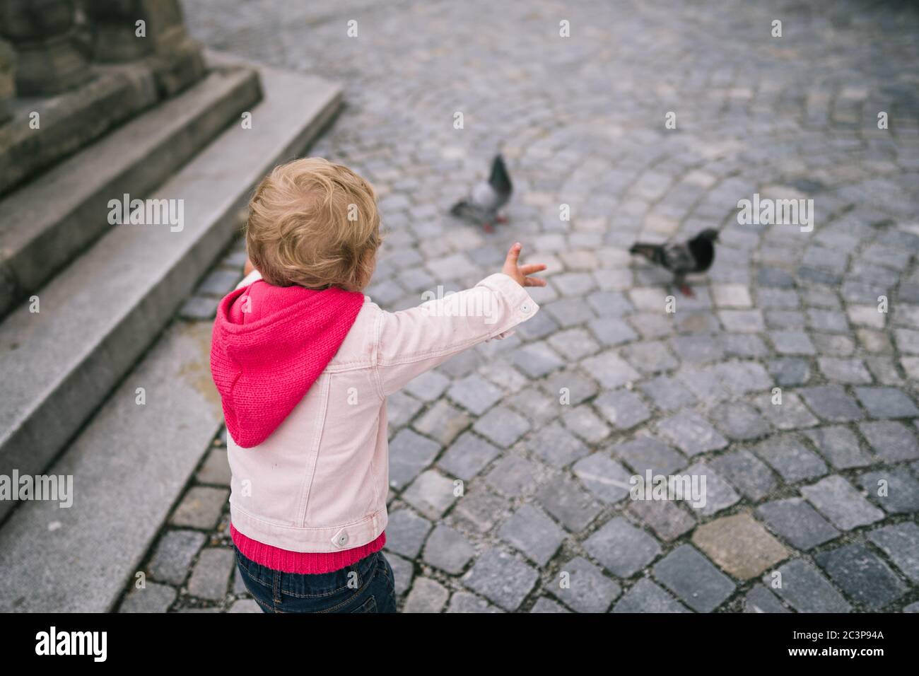 Little girl watching pigeons on square Stock Photo