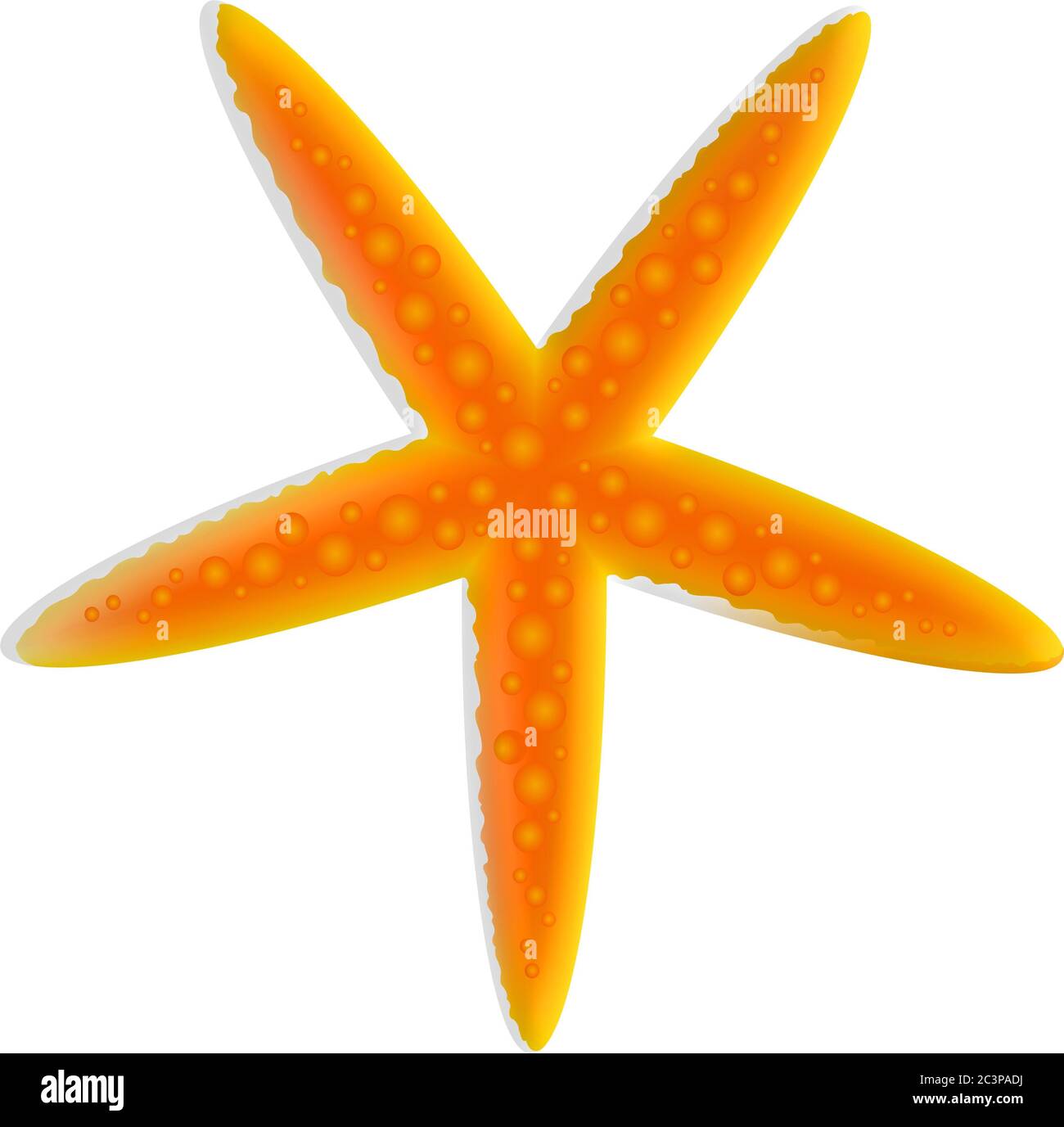An illustration of an orange starfish isolated on a white background Stock Photo