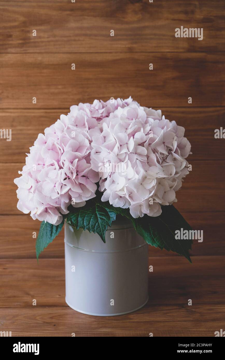 Summer bouquet of beautiful fresh pastel colored hydrangea flowers in full bloom. Stock Photo
