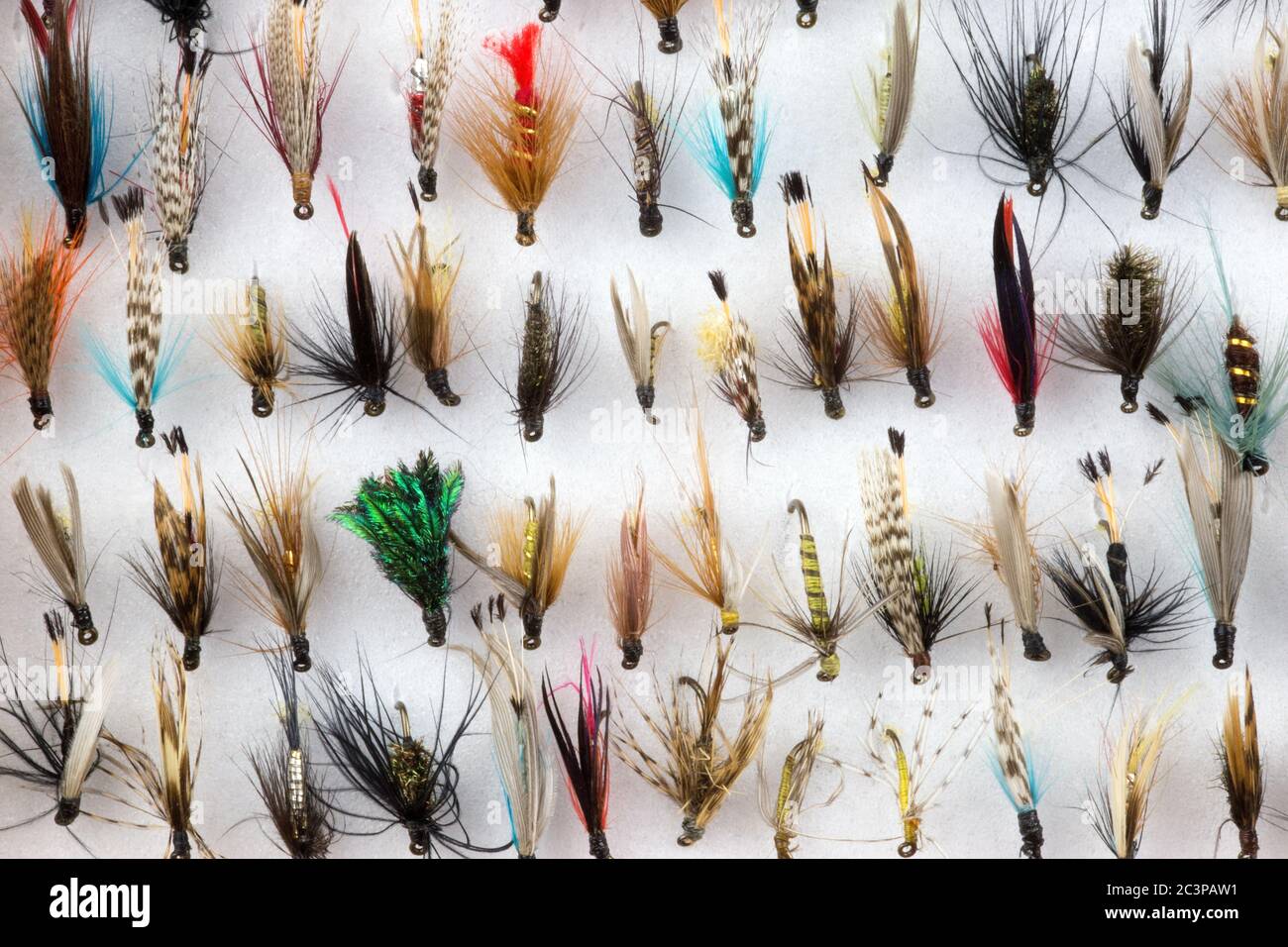 Selection of trout fishing flies in a white foam fly box Stock