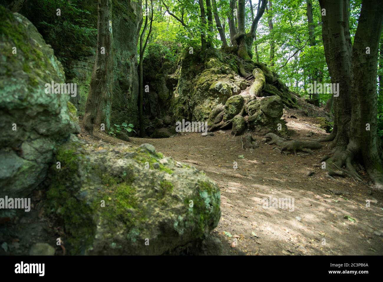 Vasas-szakadek, famous Hungarian cave, chasm and excursion site in the Visegrad mountains, in Hungary. Stock Photo