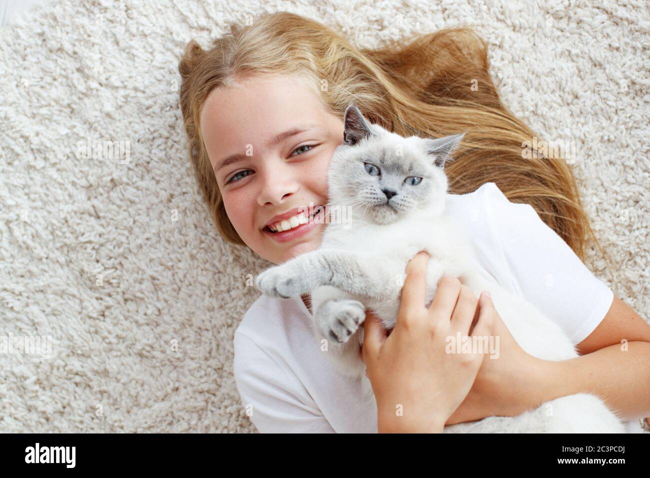 A child with a cat at home. Little girl with an animal Stock Photo - Alamy