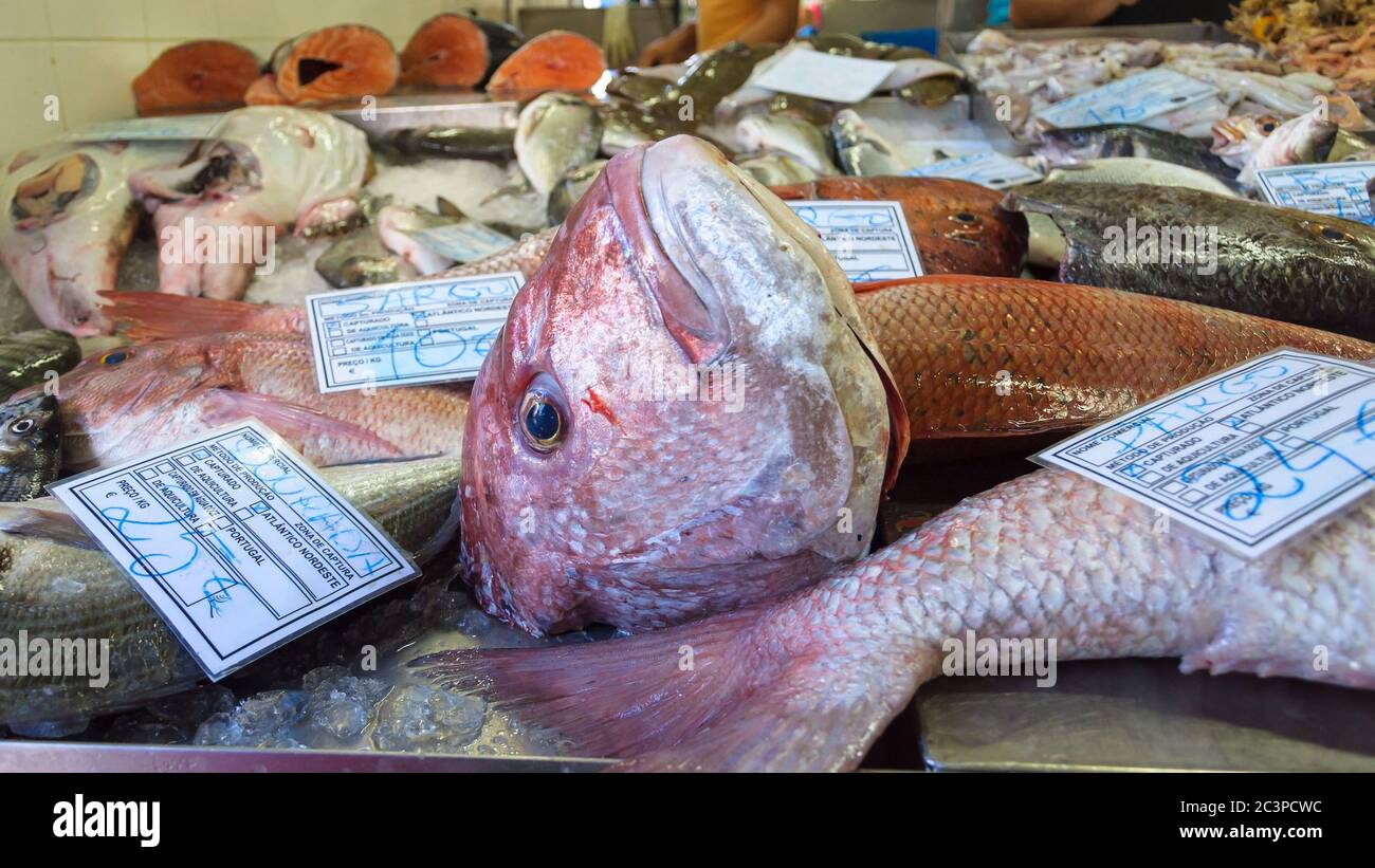 Various fresh fishes in portuguese fish market Stock Photo Alamy