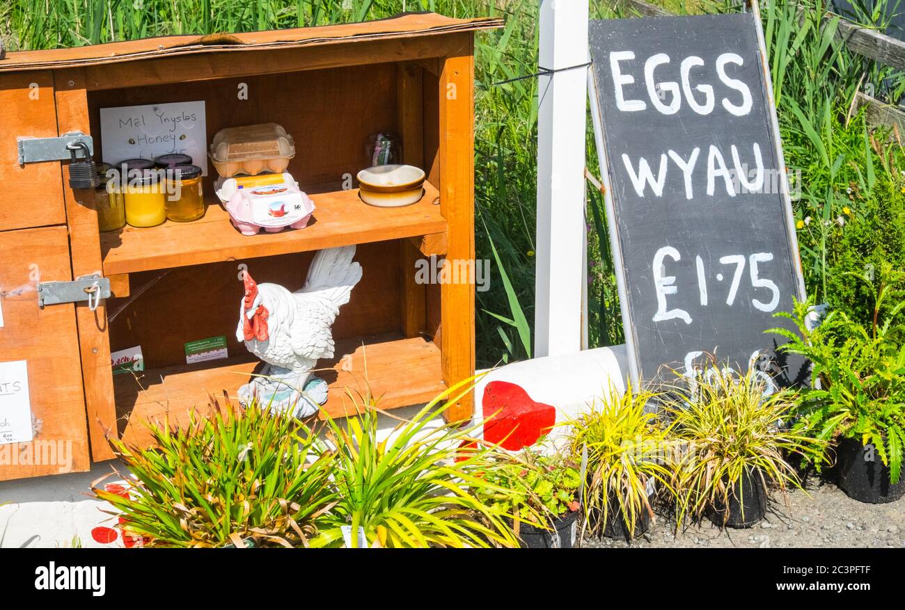 Box eggs sale honesty box hires stock photography and images Alamy