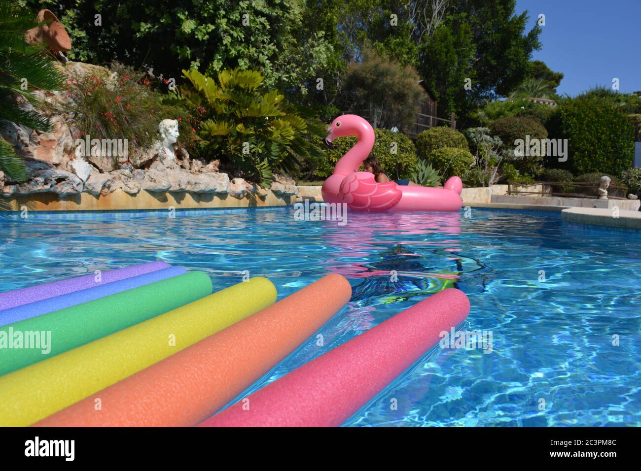 flamingo pool noodle