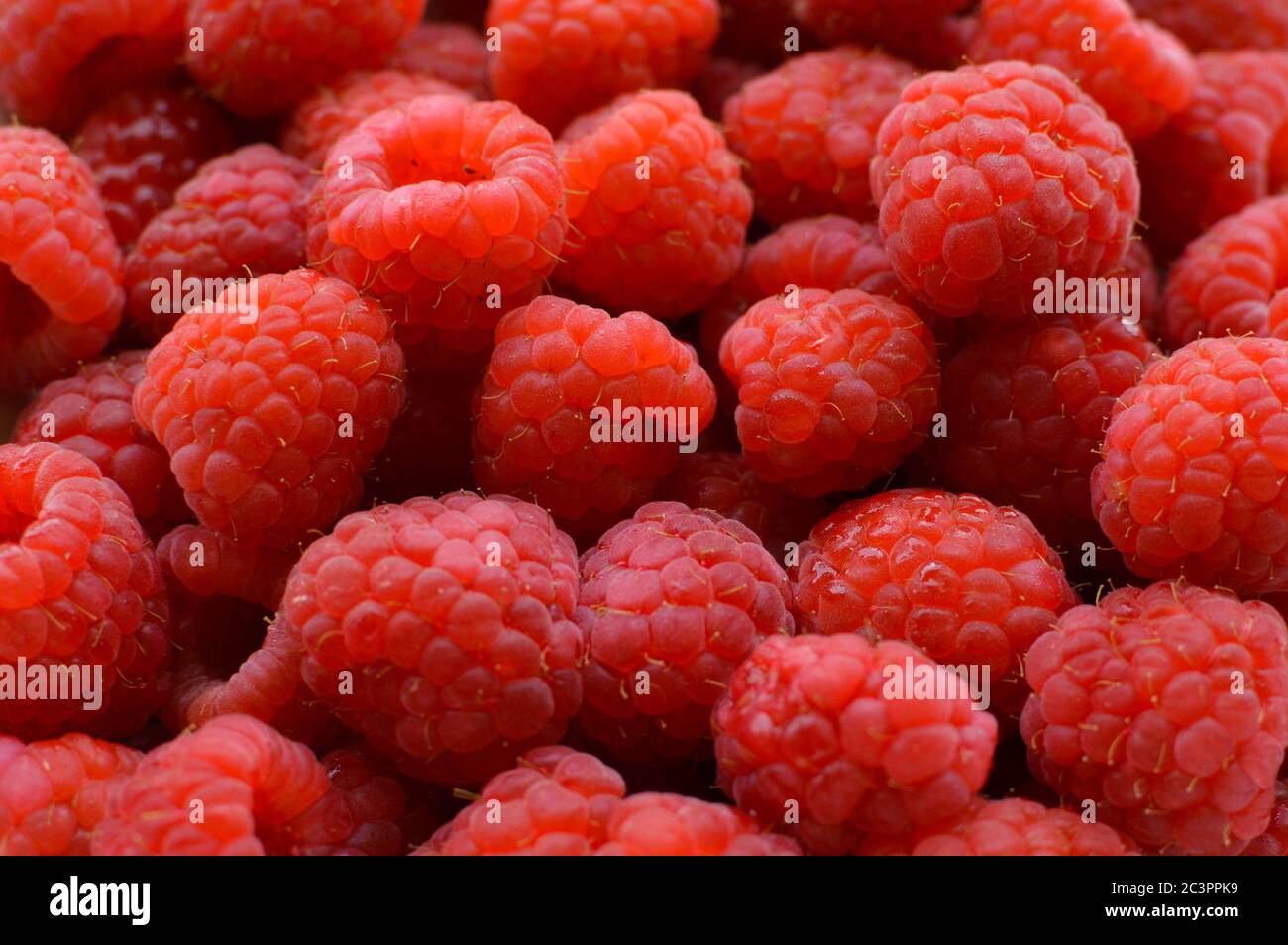 Berries ripe natural raspberries hi-res stock photography and images ...