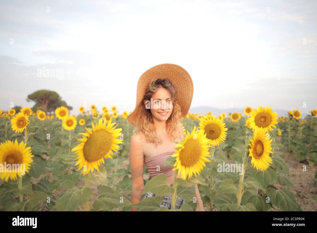 Girl standing in sunflower field hi-res stock photography and images ...