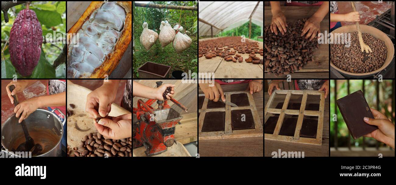Sequence of 12 photos that teach the process to make homemade chocolate Stock Photo