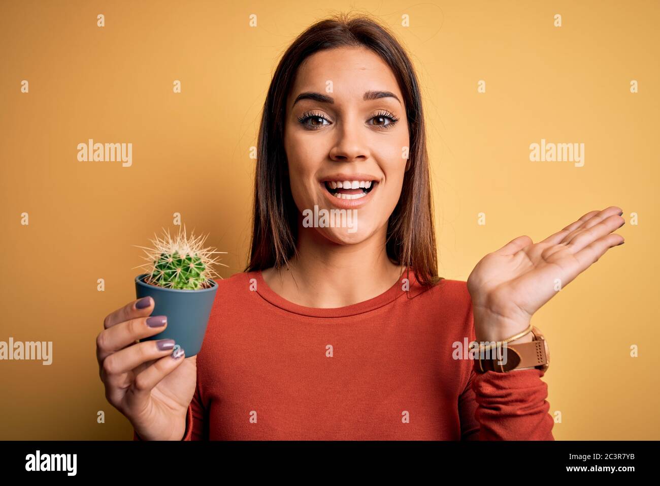Young beautiful brunette woman holding small cactus pot over yellow background very happy and excited, winner expression celebrating victory screaming Stock Photo