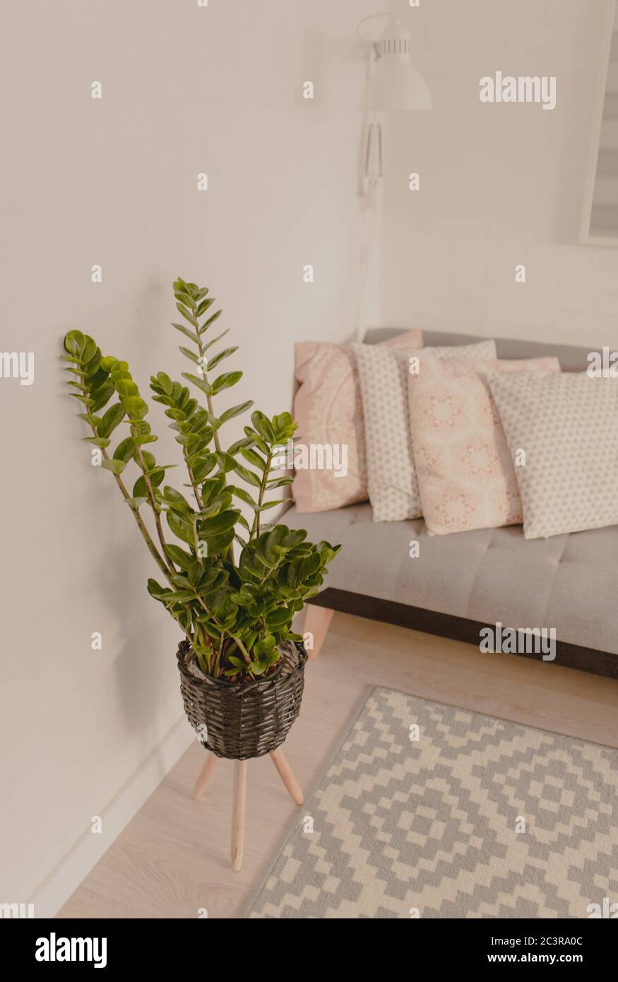 Vertical shot of a houseplant by a cozy grey couch with patterned cushions Stock Photo