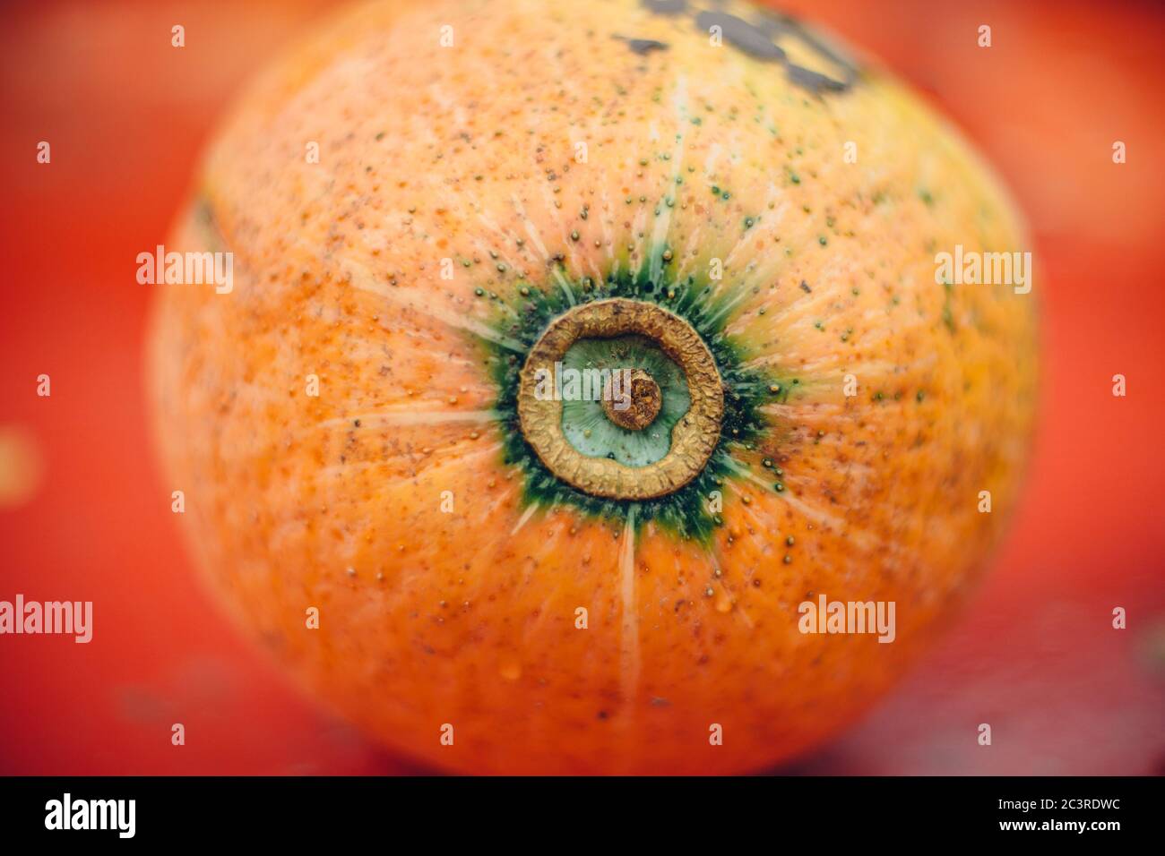 Top view of an orange pumpkin against an orange background Stock Photo ...