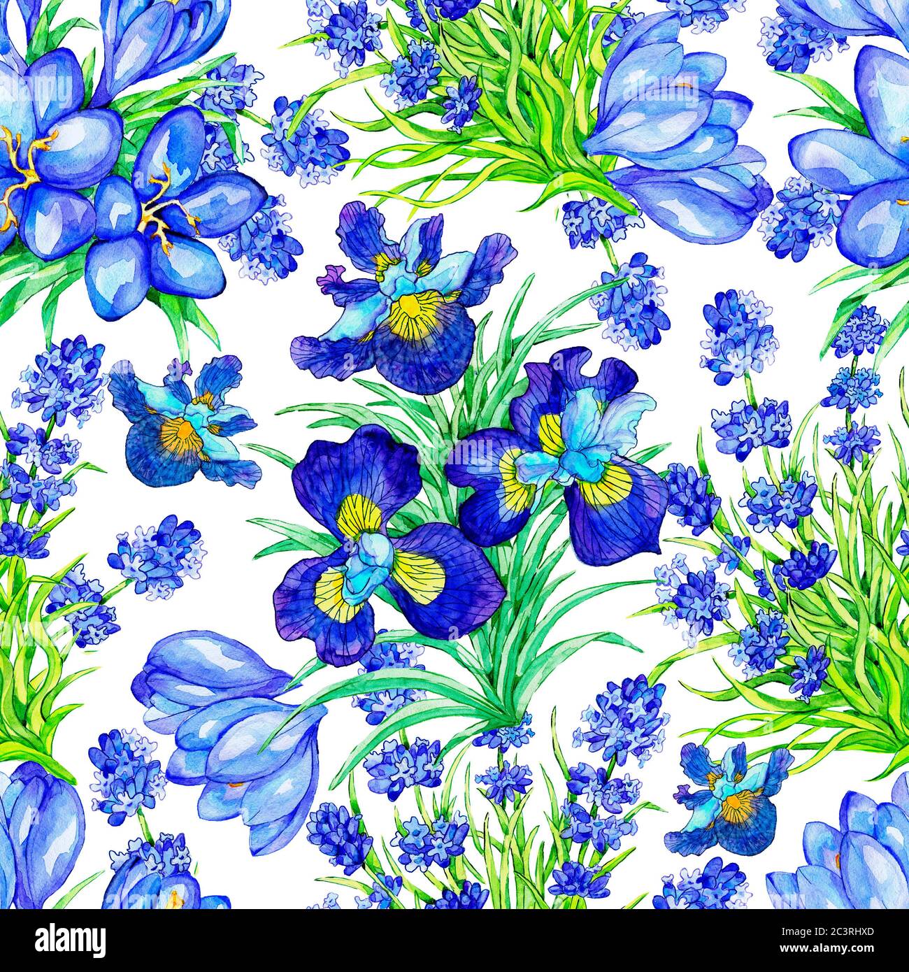 Seamless pattern with Iris, Crocus, Lavender flower on white background ...