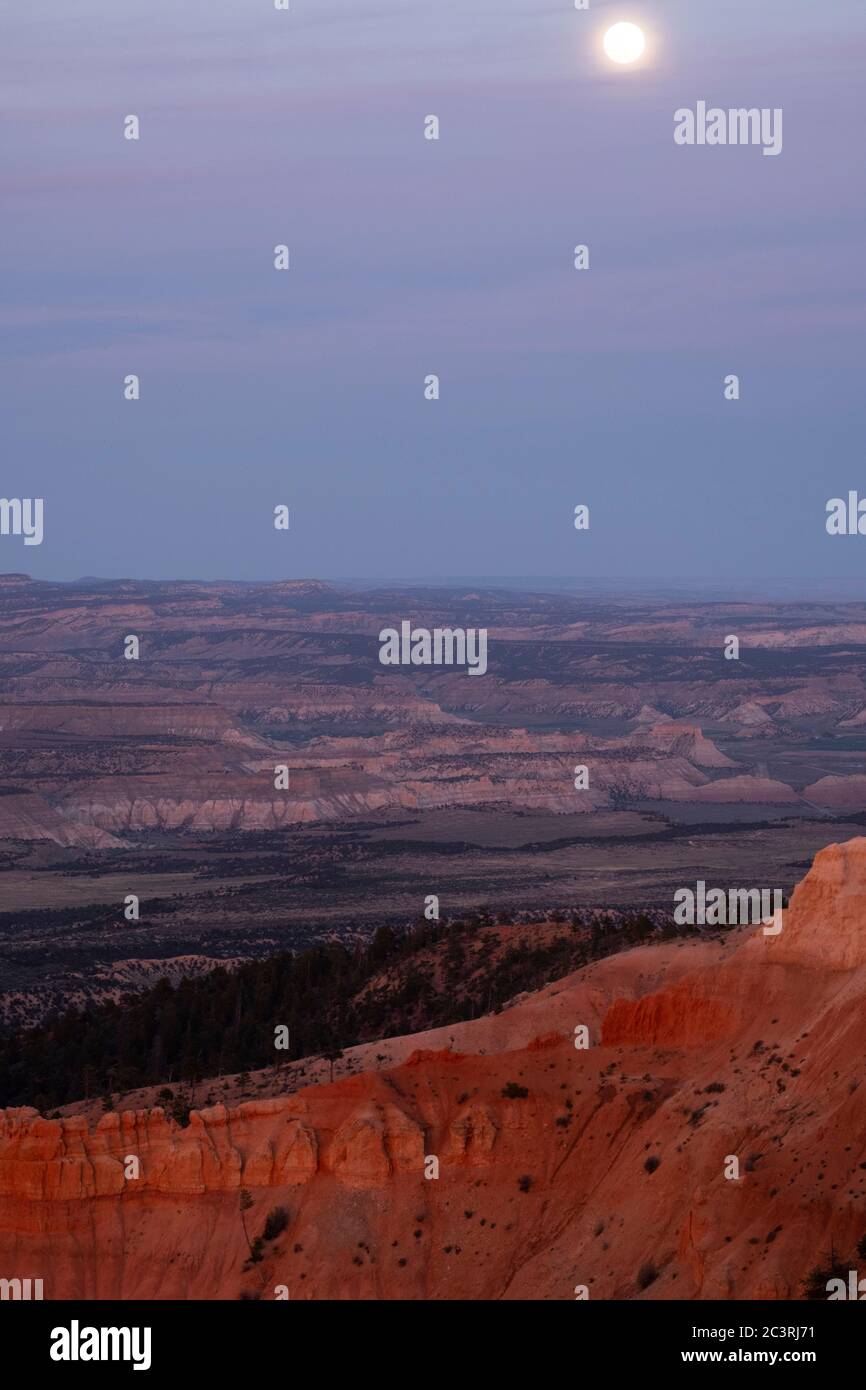 Dusk view with pink light at sunset in Bryce Canyon National Park, Utah Stock Photo